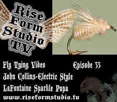 Fly Tying Video - John Collins Ties Gary Lafontaine's Emergent Sparkle Pupa Electric Style